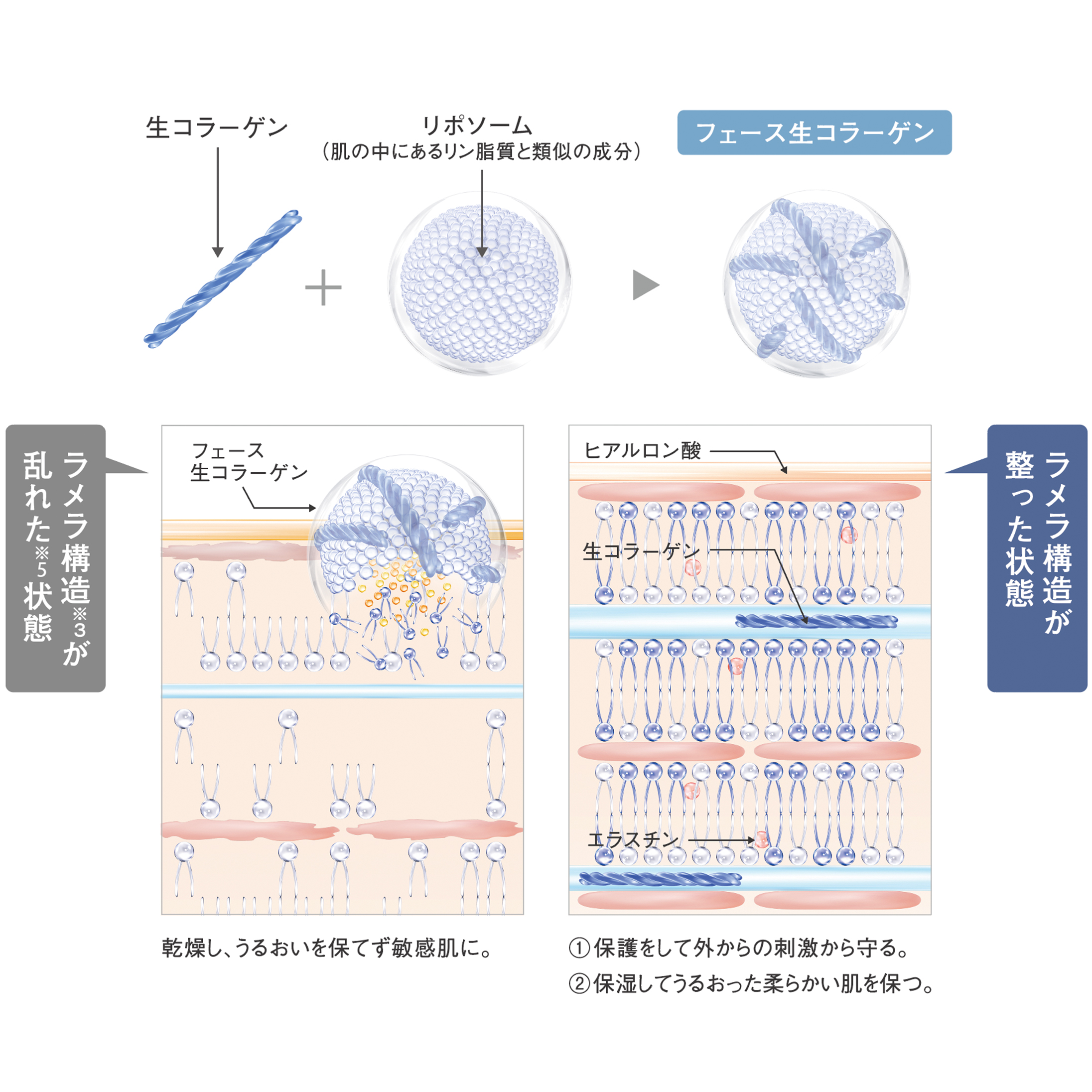 「プレケアエッセンス」