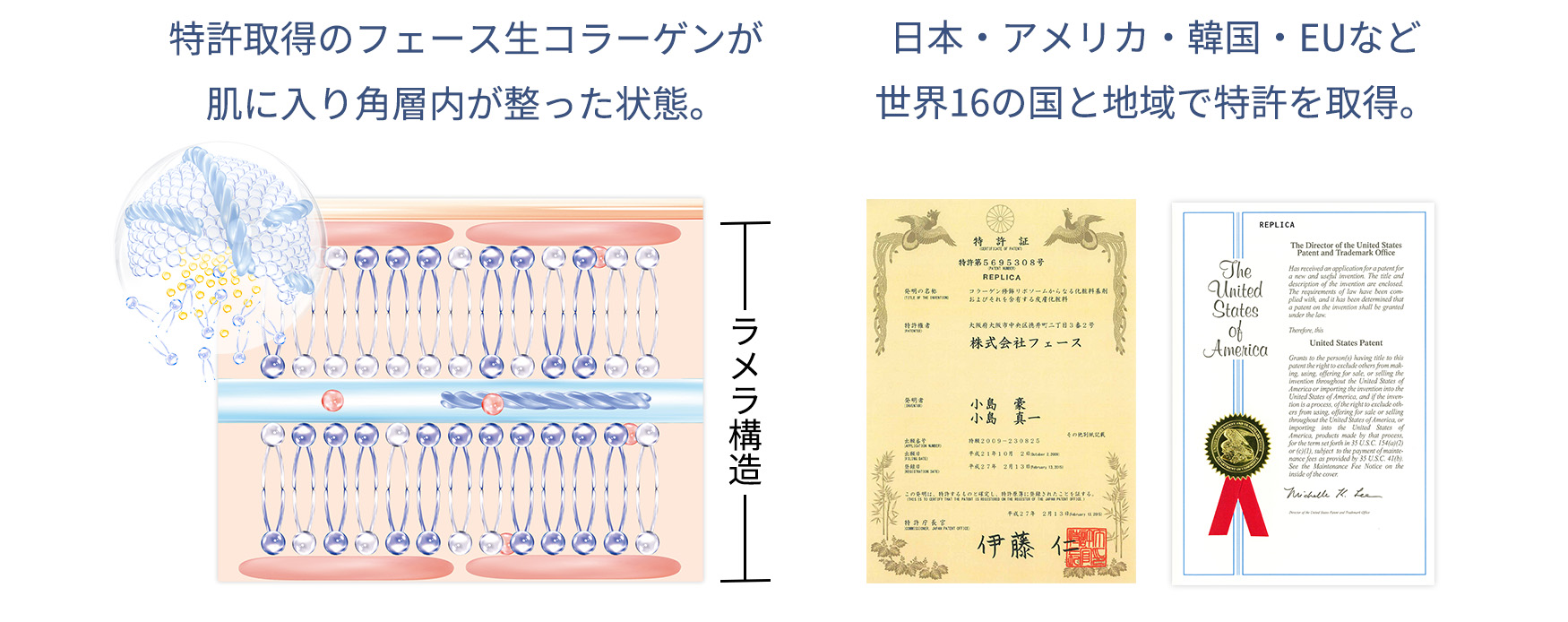 特許取得