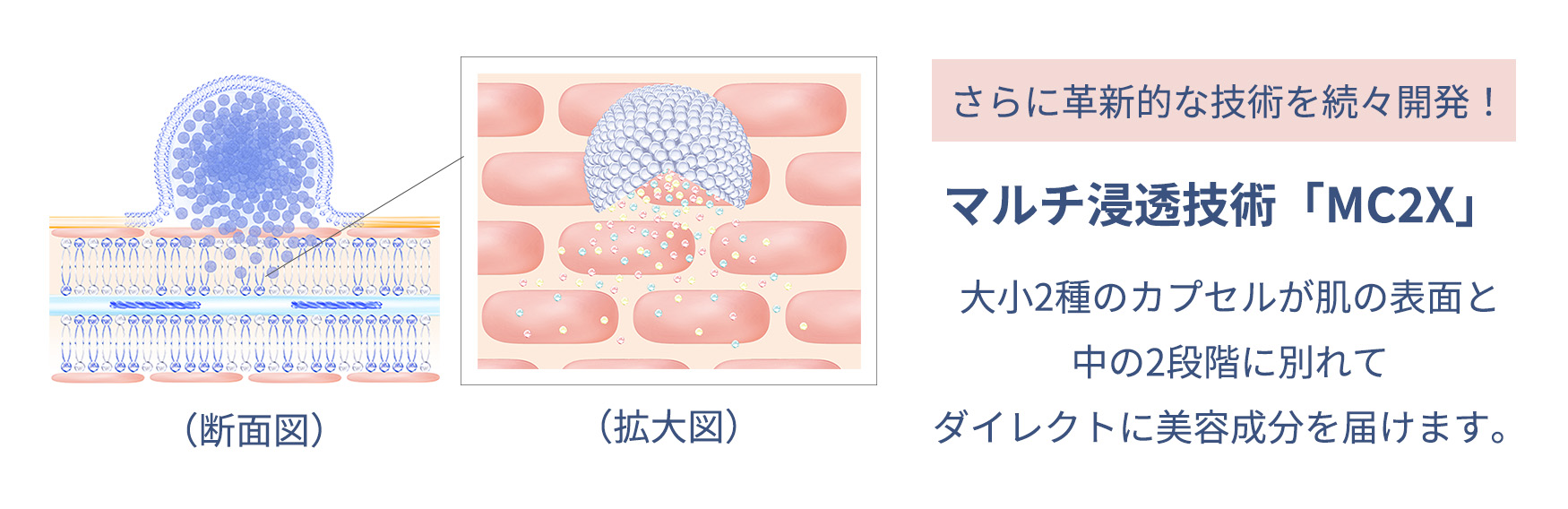 マルチ浸透技術「MC2X」